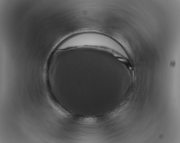 X0000093740156200711061032