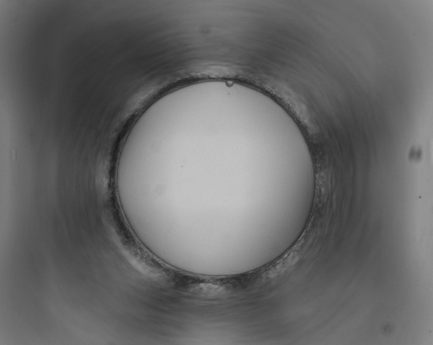 X0000093740159200711061033