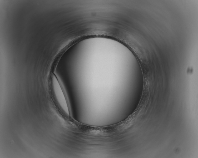 X0000093740160200711061033