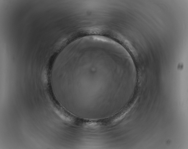 X0000093740161200711061033