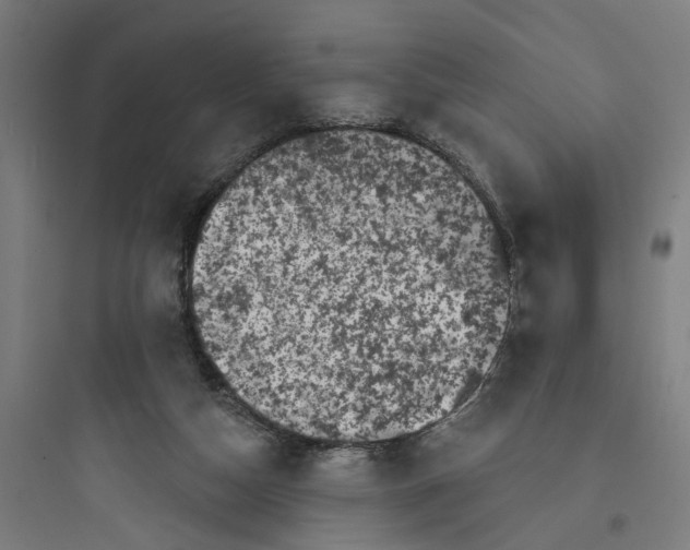 X0000093740162200711061033