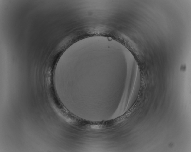 X0000093740163200711061033