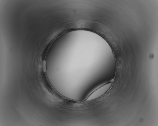 X0000093740164200711061033