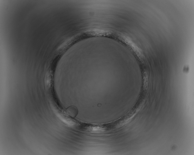 X0000093740165200711061033