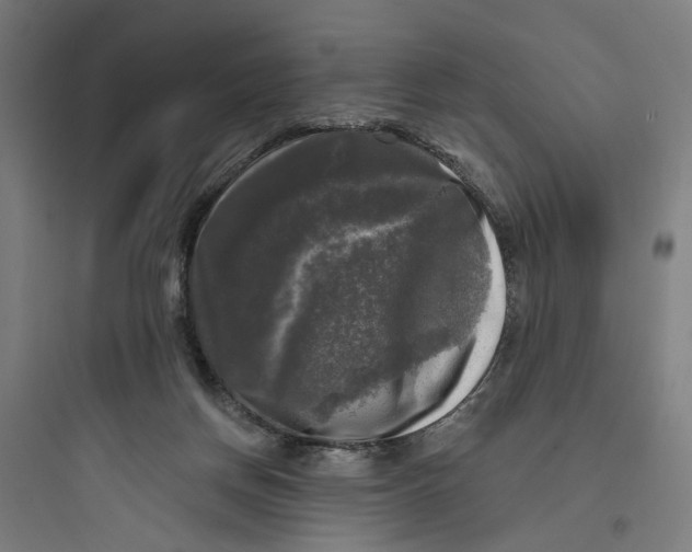 X0000093740166200711061033