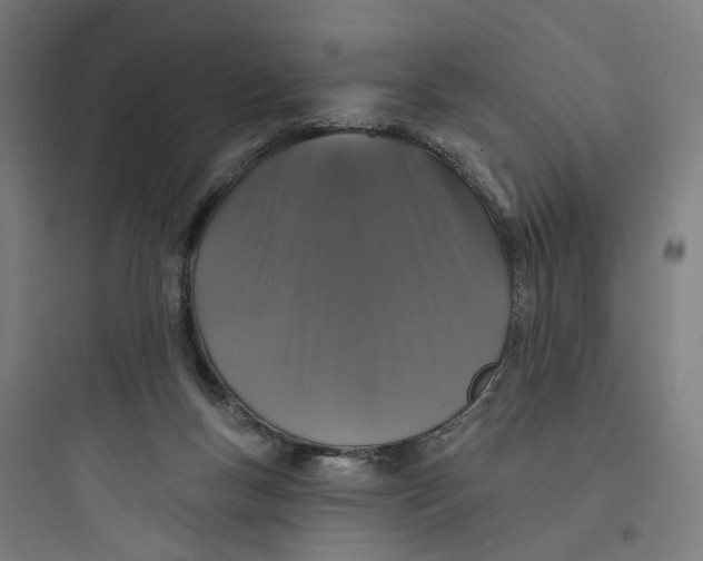 X0000093740167200711061033