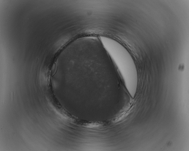 X0000093740168200711061033