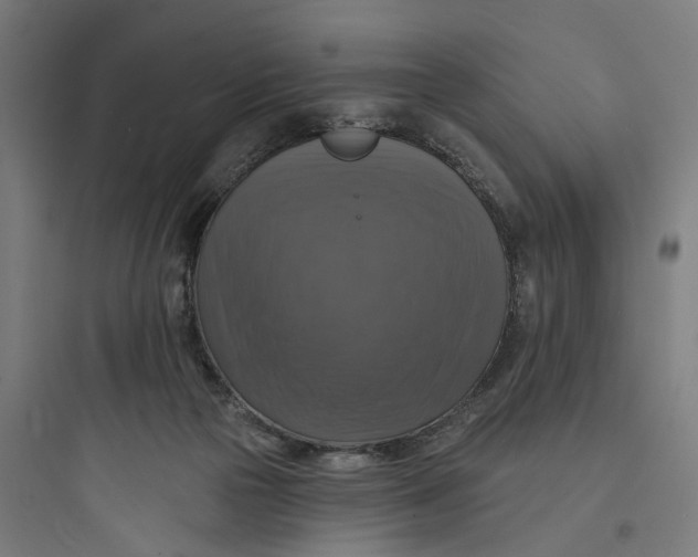 X0000093740169200711061033