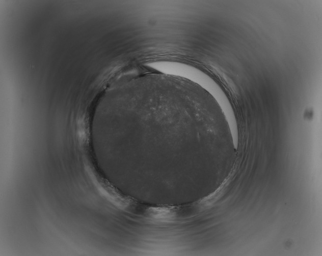 X0000093740170200711061033