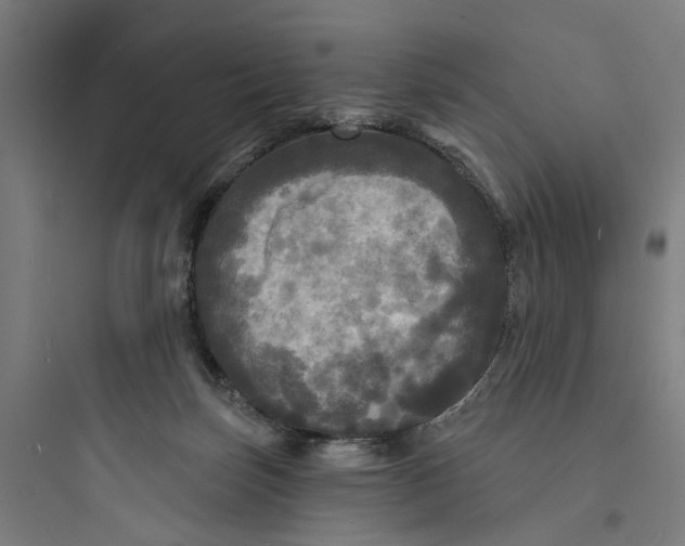 X0000093740171200711061033