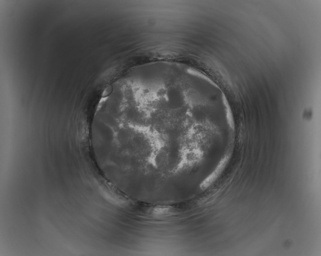 X0000093740173200711061033