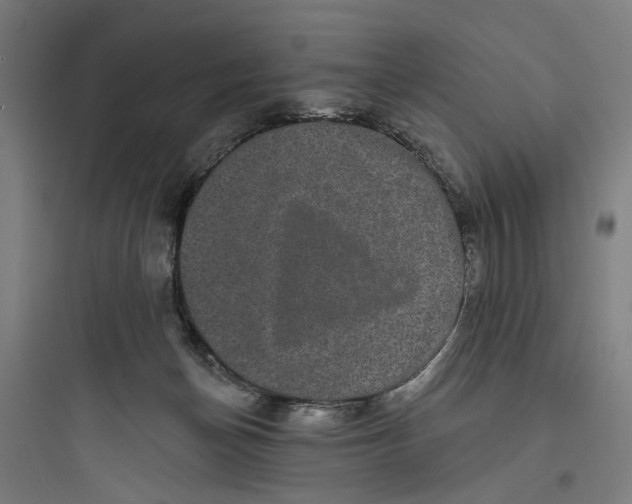 X0000093740174200711061033