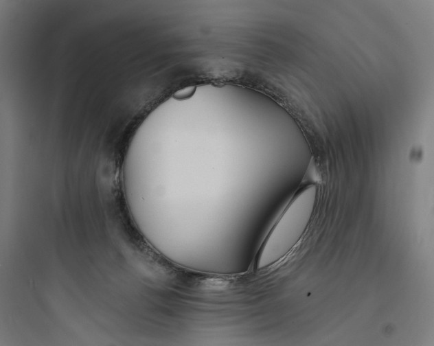 X0000093740176200711061033