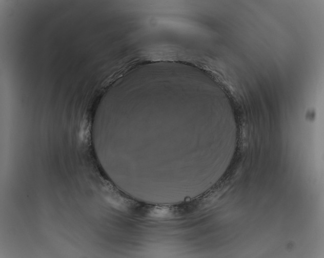 X0000093740177200711061033