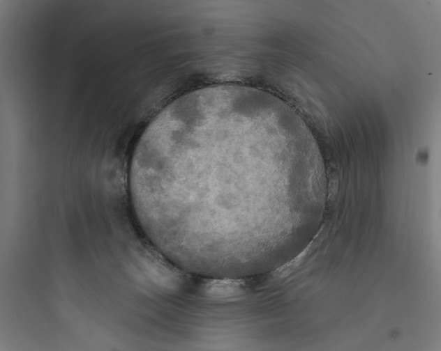 X0000093740179200711061033