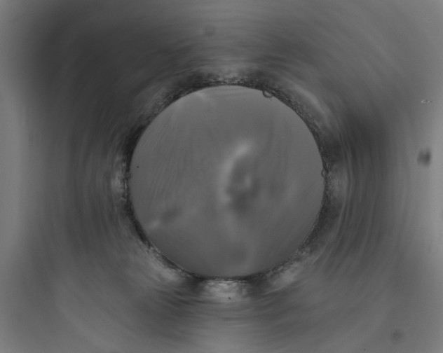 X0000093740181200711061033