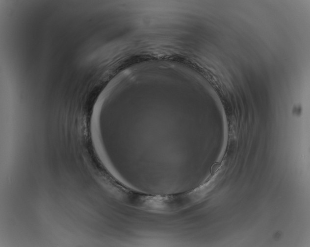 X0000093740182200711061033