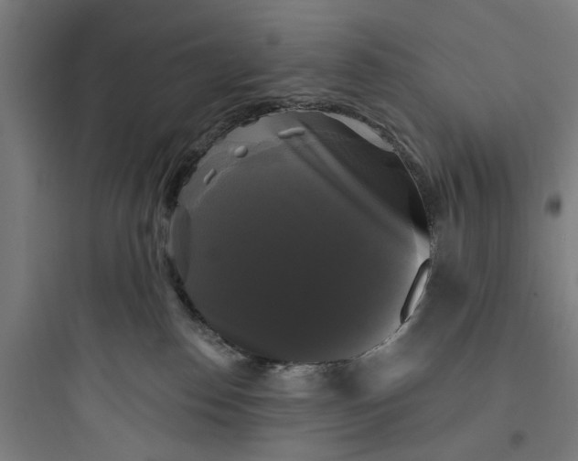 X0000093740186200711061033