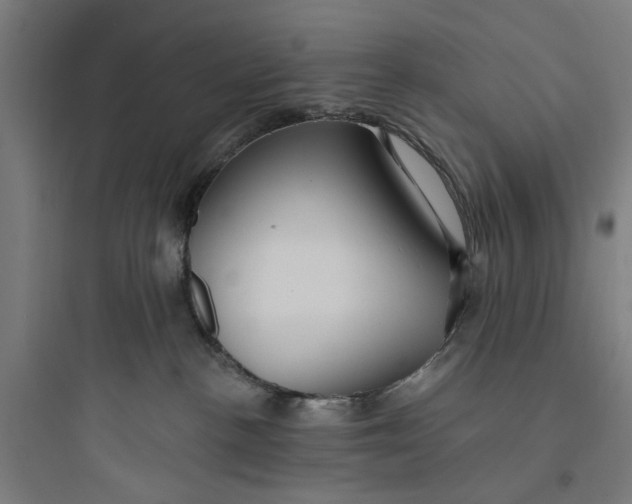 X0000093740188200711061033