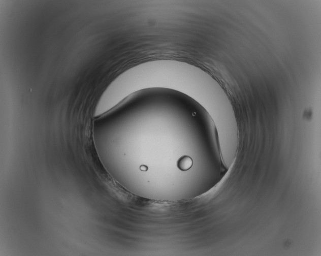 X0000093740190200711061033