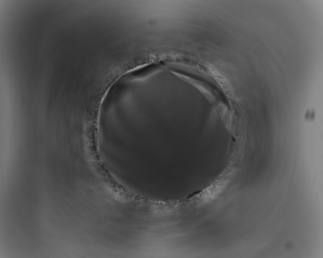 X0000093740192200711061033