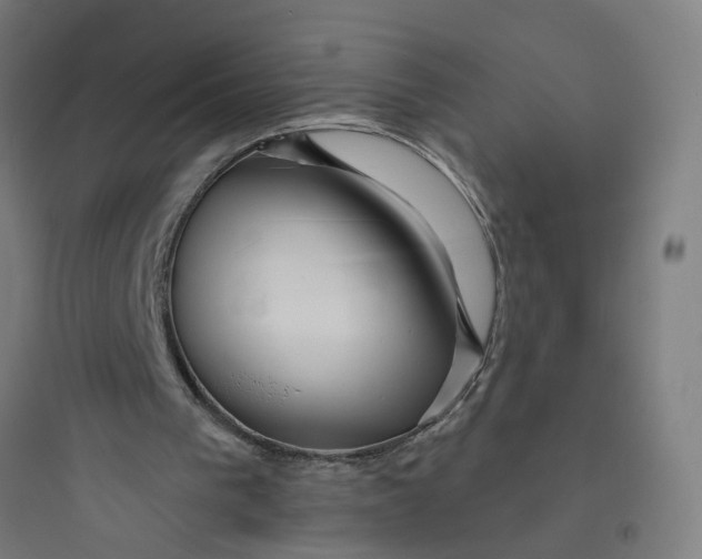 X0000093740193200711061032