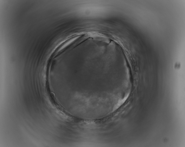 X0000093740194200711061032