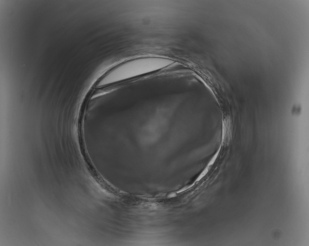 X0000093740195200711061032