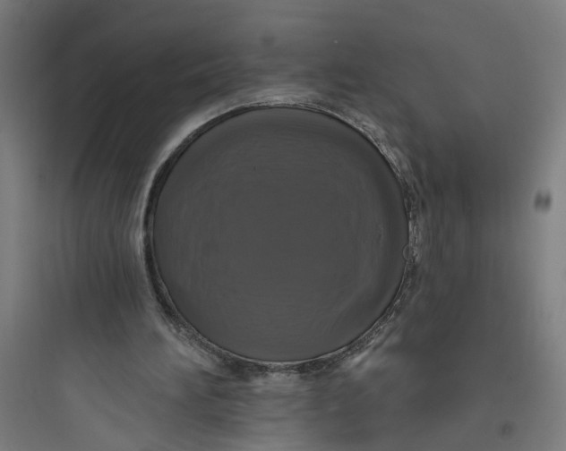 X0000093740196200711061032