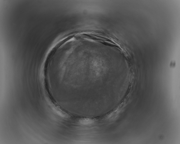 X0000093740198200711061032