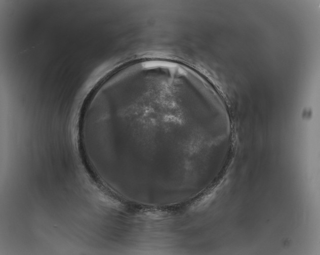 X0000093740199200711061032