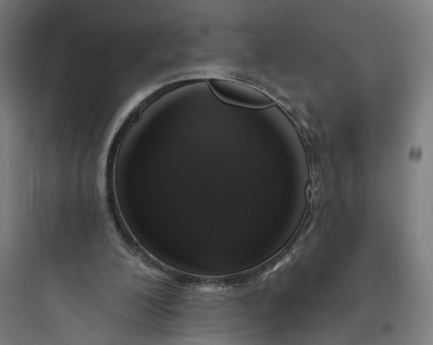 X0000093740200200711061032