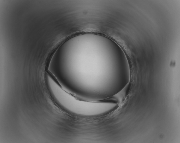 X0000093740201200711061032