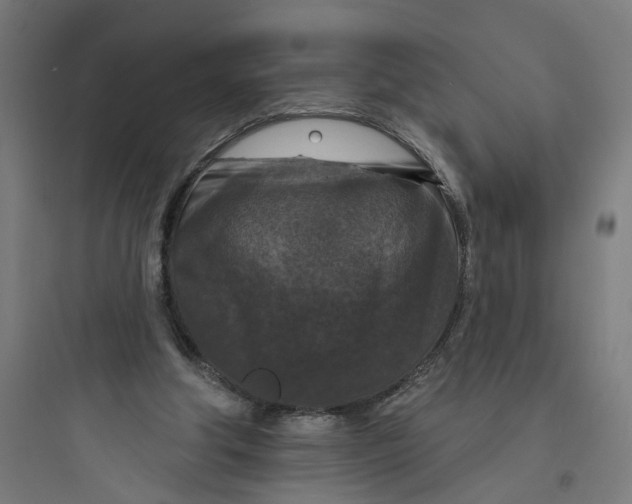 X0000093740202200711061032