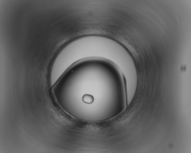 X0000093740207200711061032