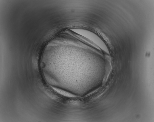 X0000093740209200711061032