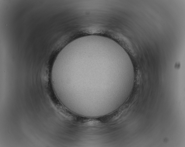 X0000093740210200711061032