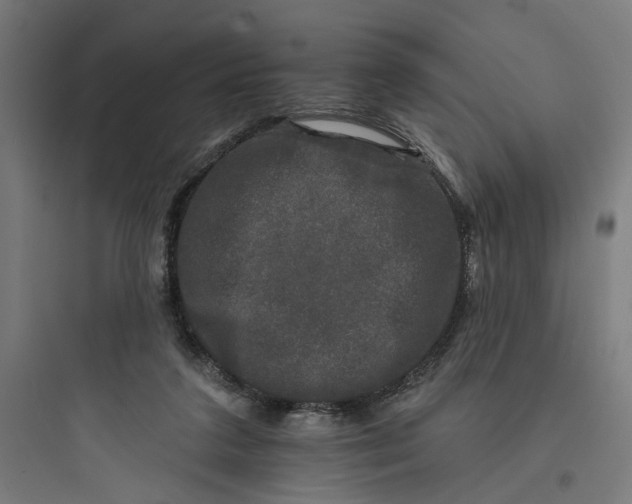 X0000093740211200711061032