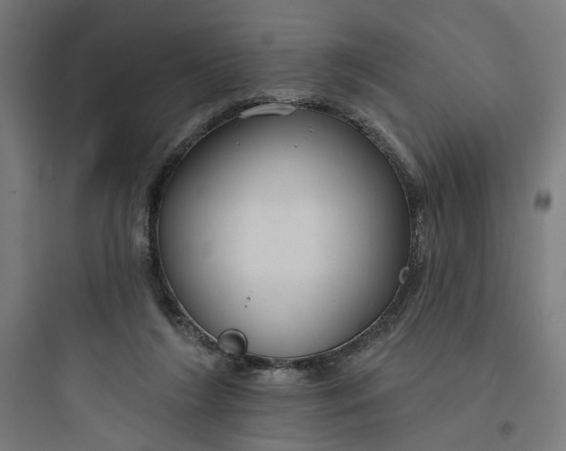 X0000093740212200711061032