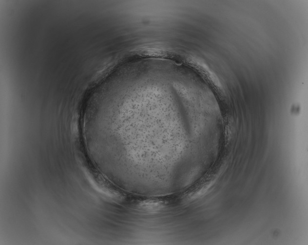 X0000093740213200711061032