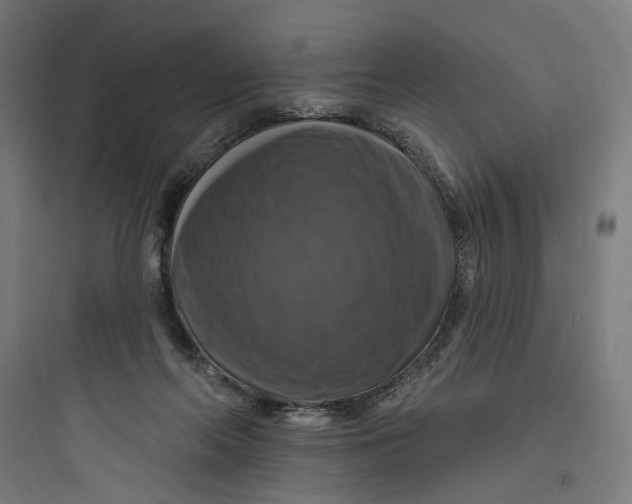 X0000093740214200711061032