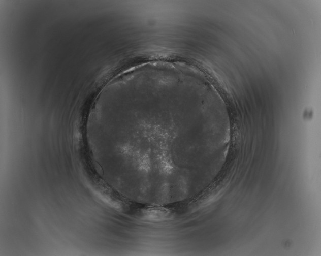 X0000093740215200711061032