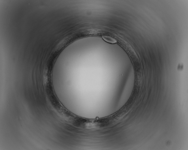 X0000093740216200711061032