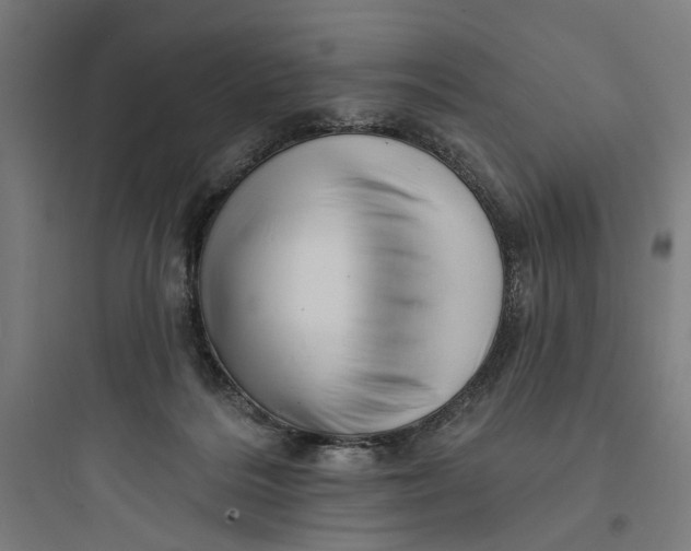 X0000093740220200711061032