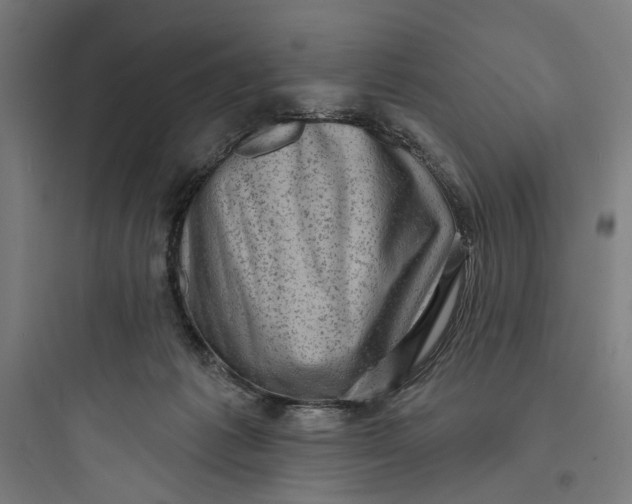 X0000093740221200711061032