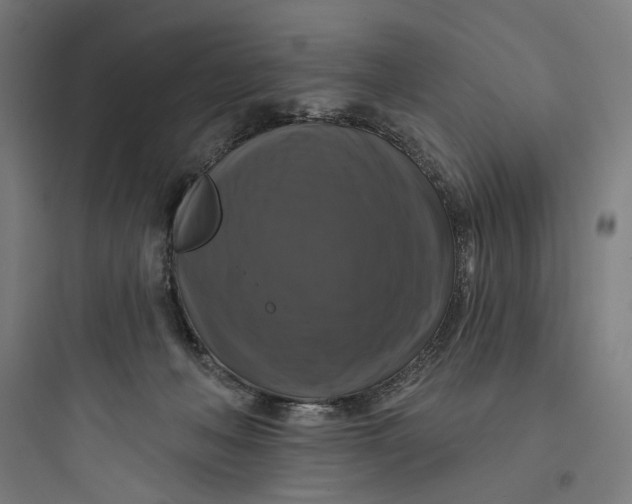 X0000093740222200711061032