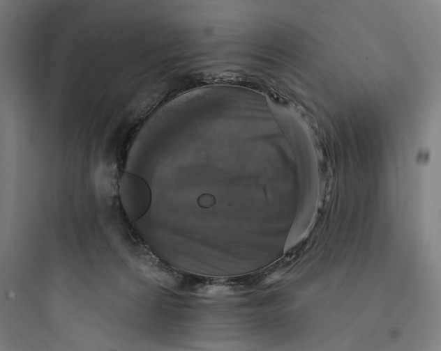 X0000093740224200711061032