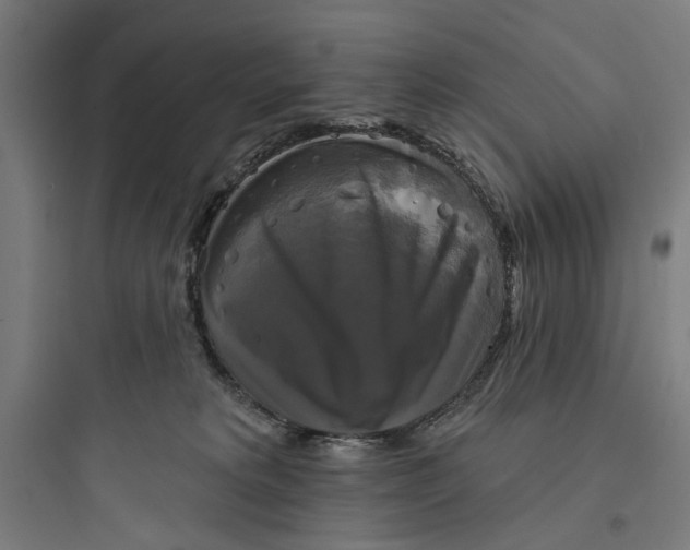 X0000093740229200711061032