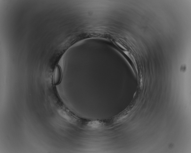 X0000093740231200711061032