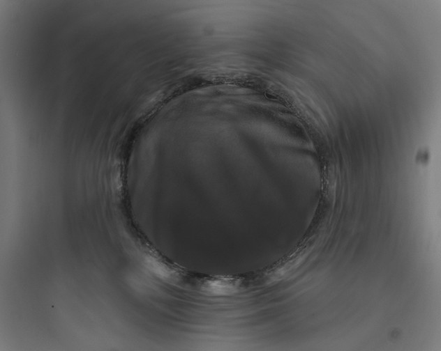 X0000093740232200711061032